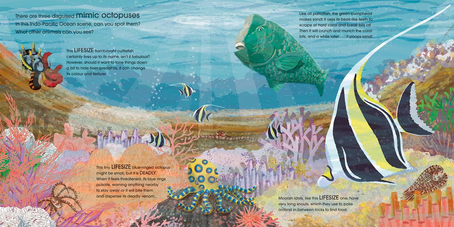 Lifesize Ocean Animals