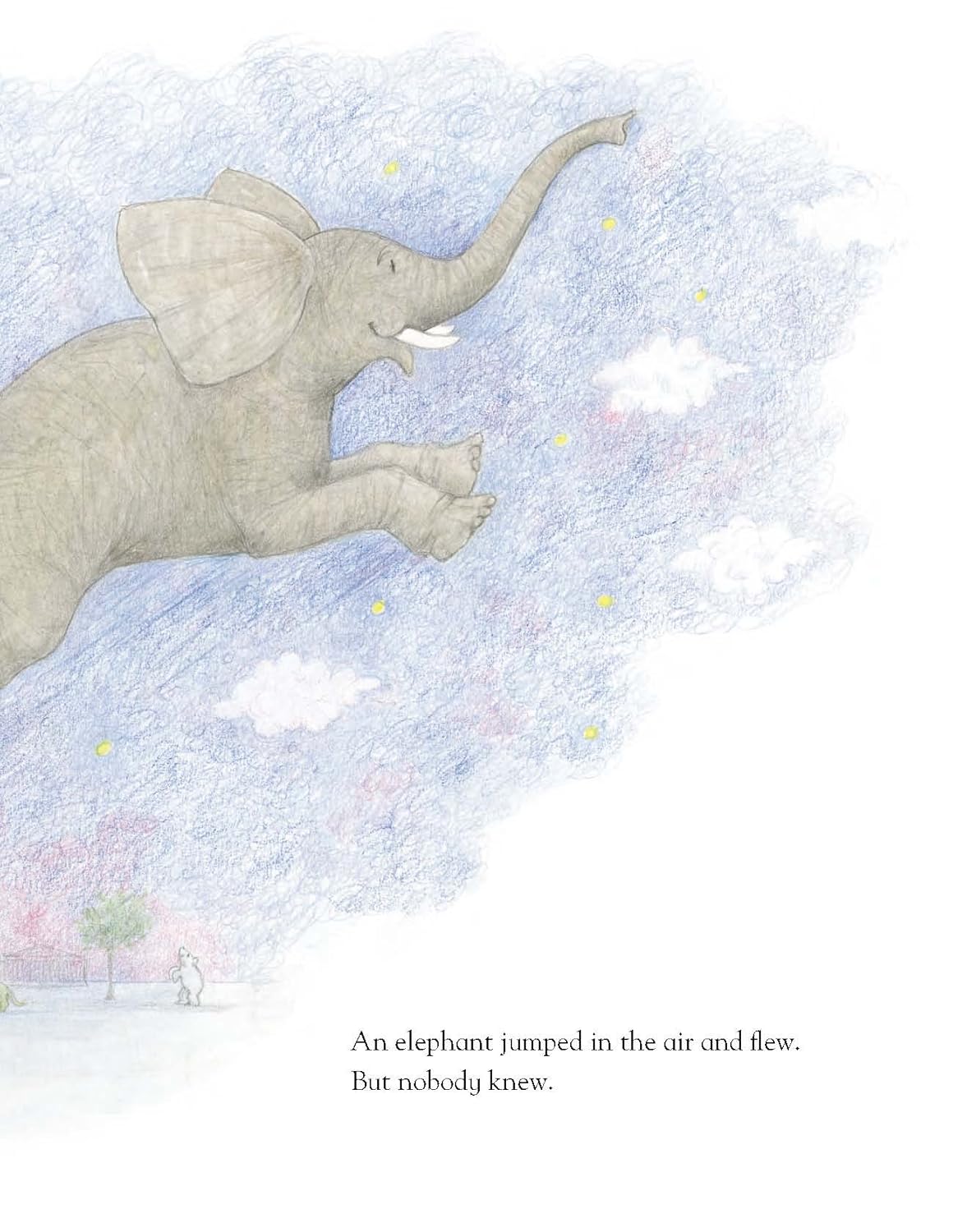 One Night in The Zoo - Judith Kerr