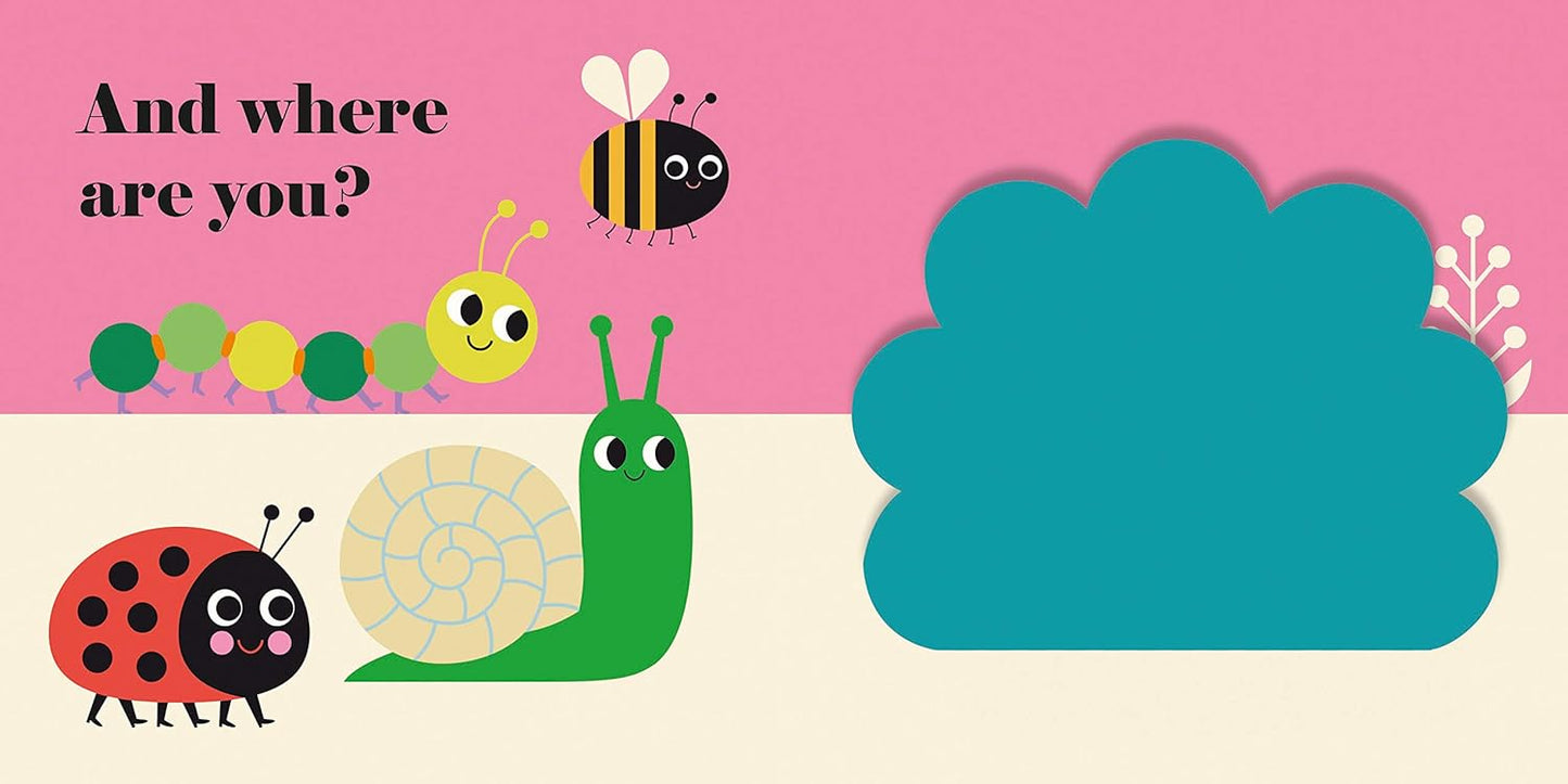 Where's Mrs Ladybird? - Buggy Book