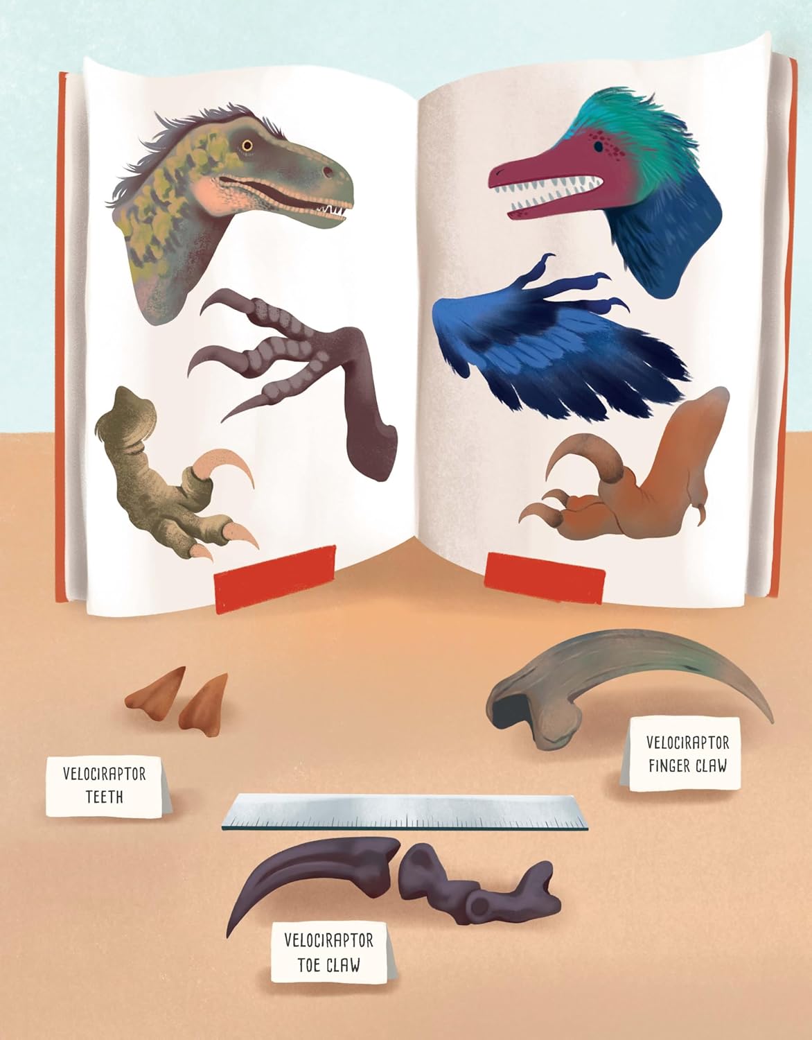Big Questions Answered: Are Birds Modern-Day Dinosaurs?