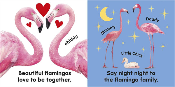 Baby Touch and Feel Flamingo