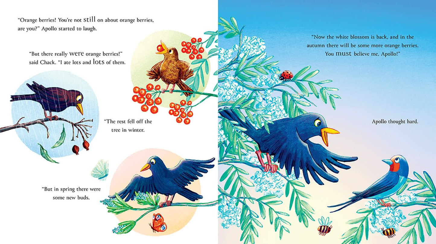 Follow the Swallow - Julia Donaldson