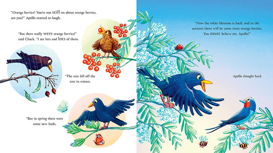 Follow the Swallow - Julia Donaldson