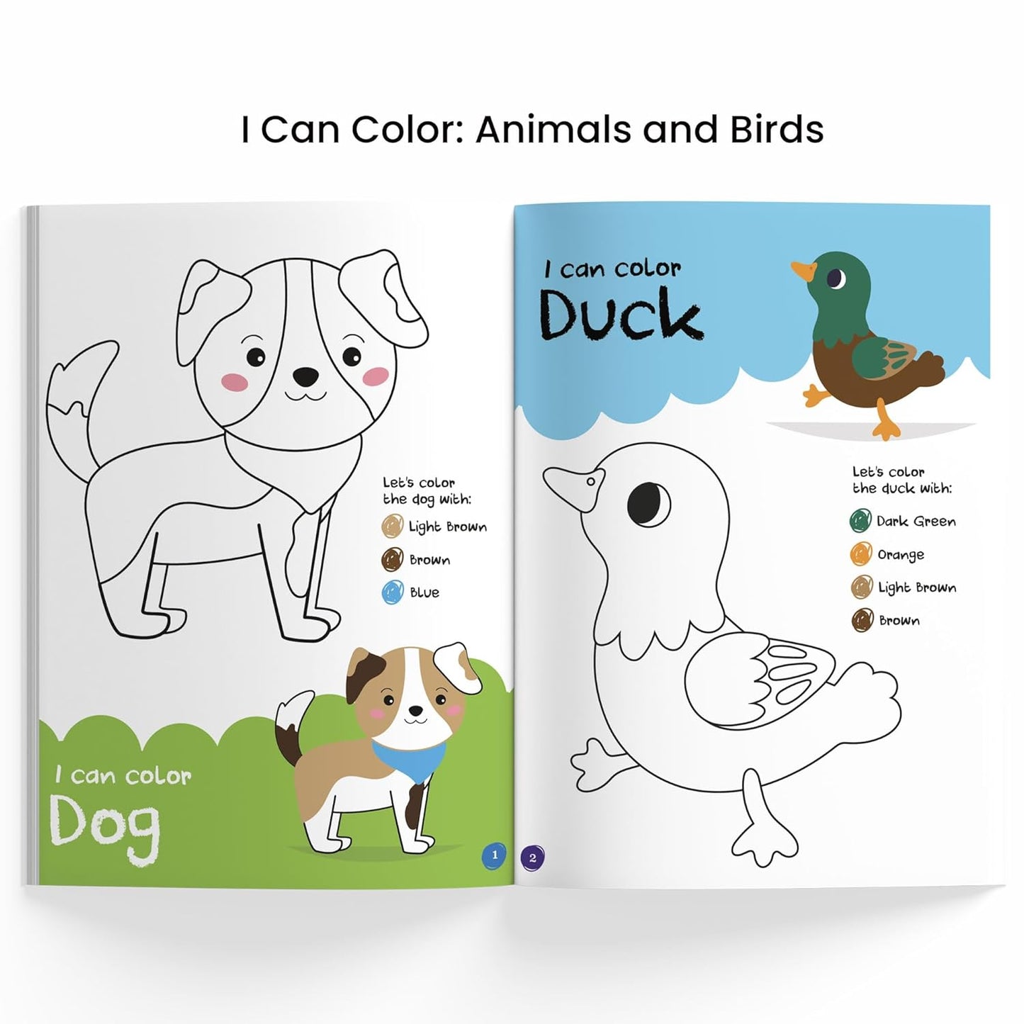 I Can Color Pack - Pack of 4 Books