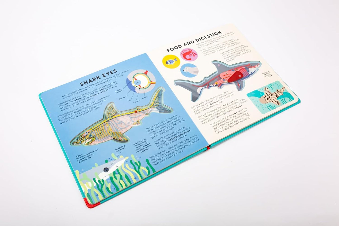 The Shark Book