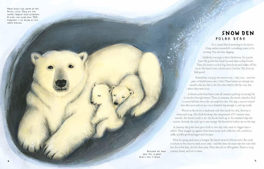 Finding Home: Amazing Places Animals Live