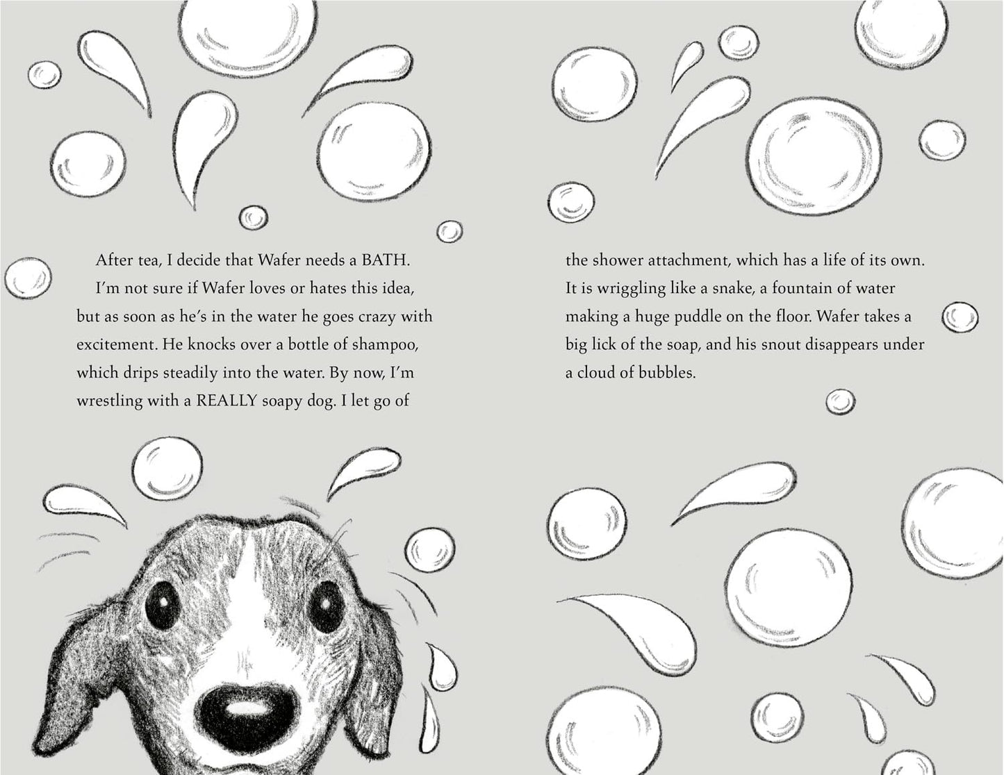 The Dog Squad: The Newshound