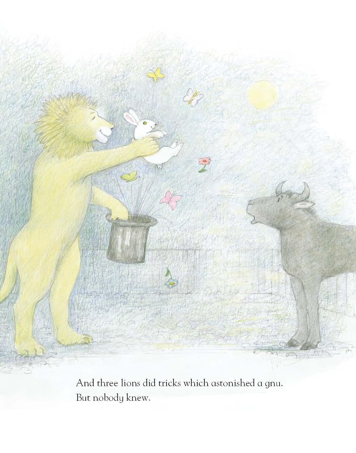 One Night in The Zoo - Judith Kerr