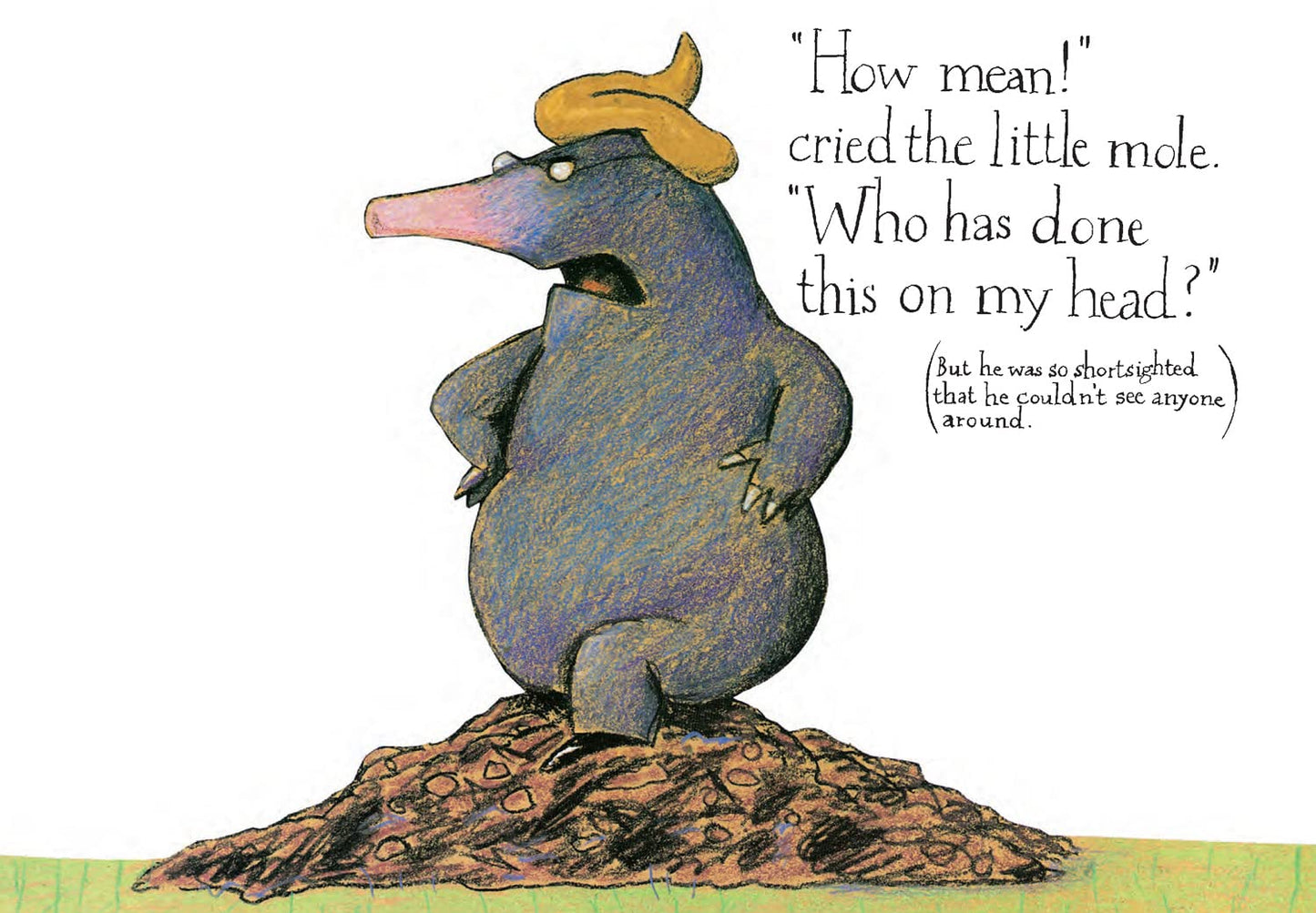 The Story of the Little Mole Who Knew it Was None of His Business