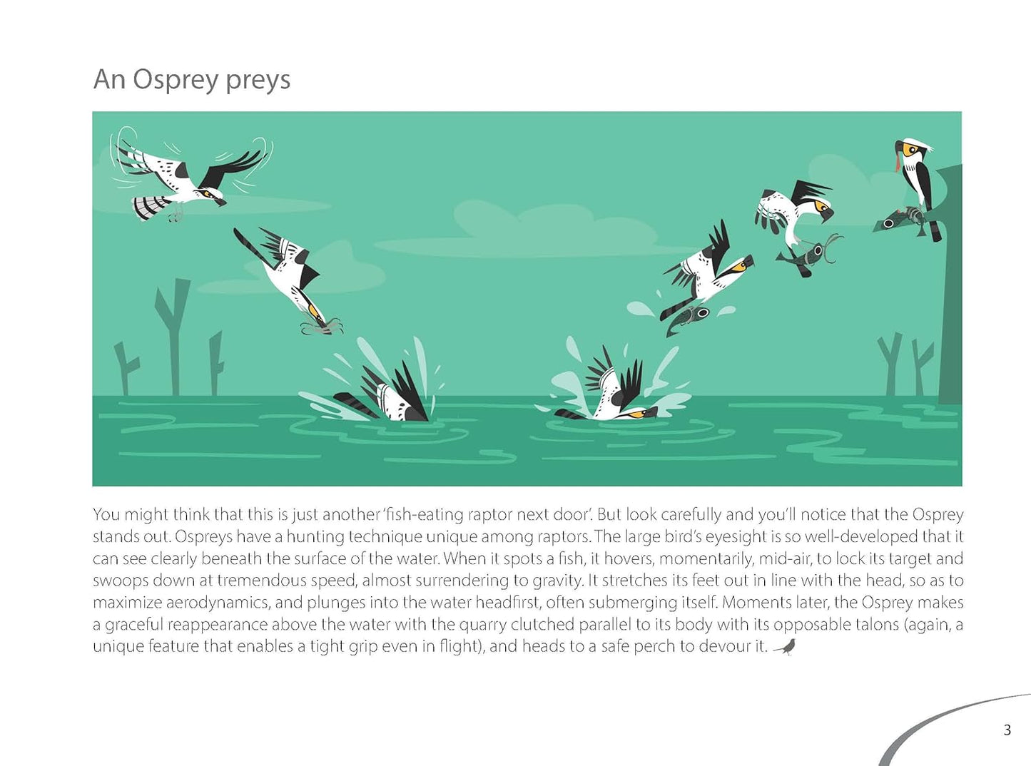 Bird Business: Dive into the Fascinating Lives of Indian birds - Rohan Chakravarty