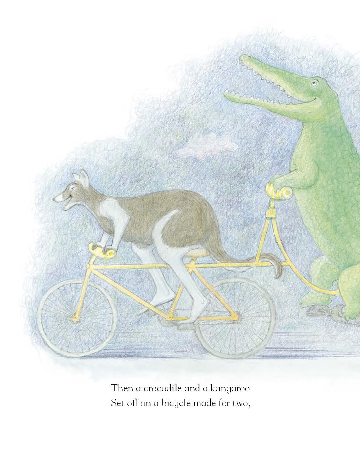 One Night in The Zoo - Judith Kerr