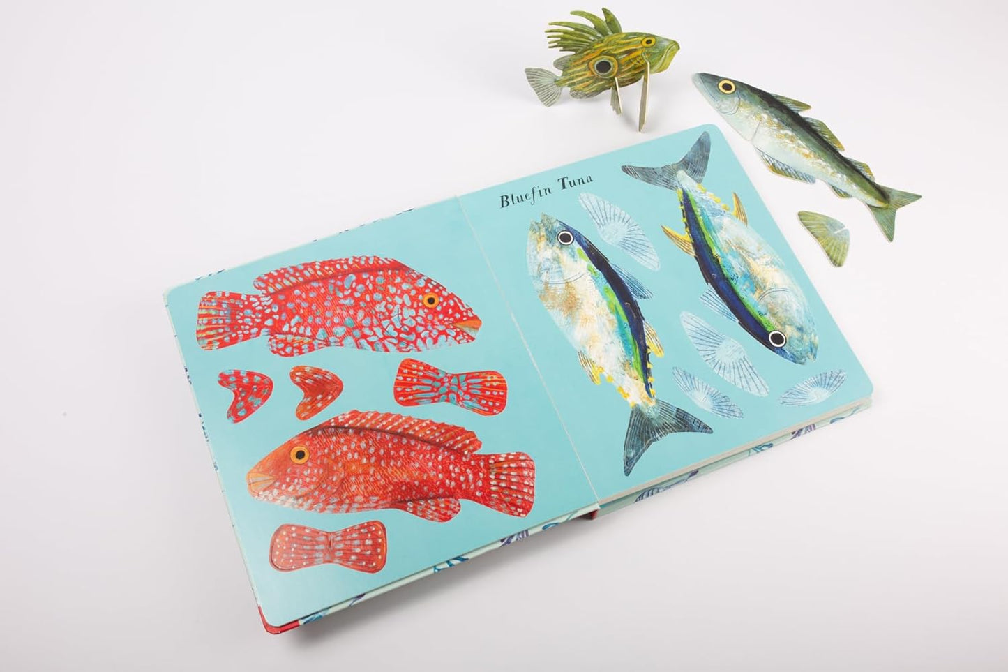 Beneath the Waves: Press-Out and Learn About 20 Fabulous Fish