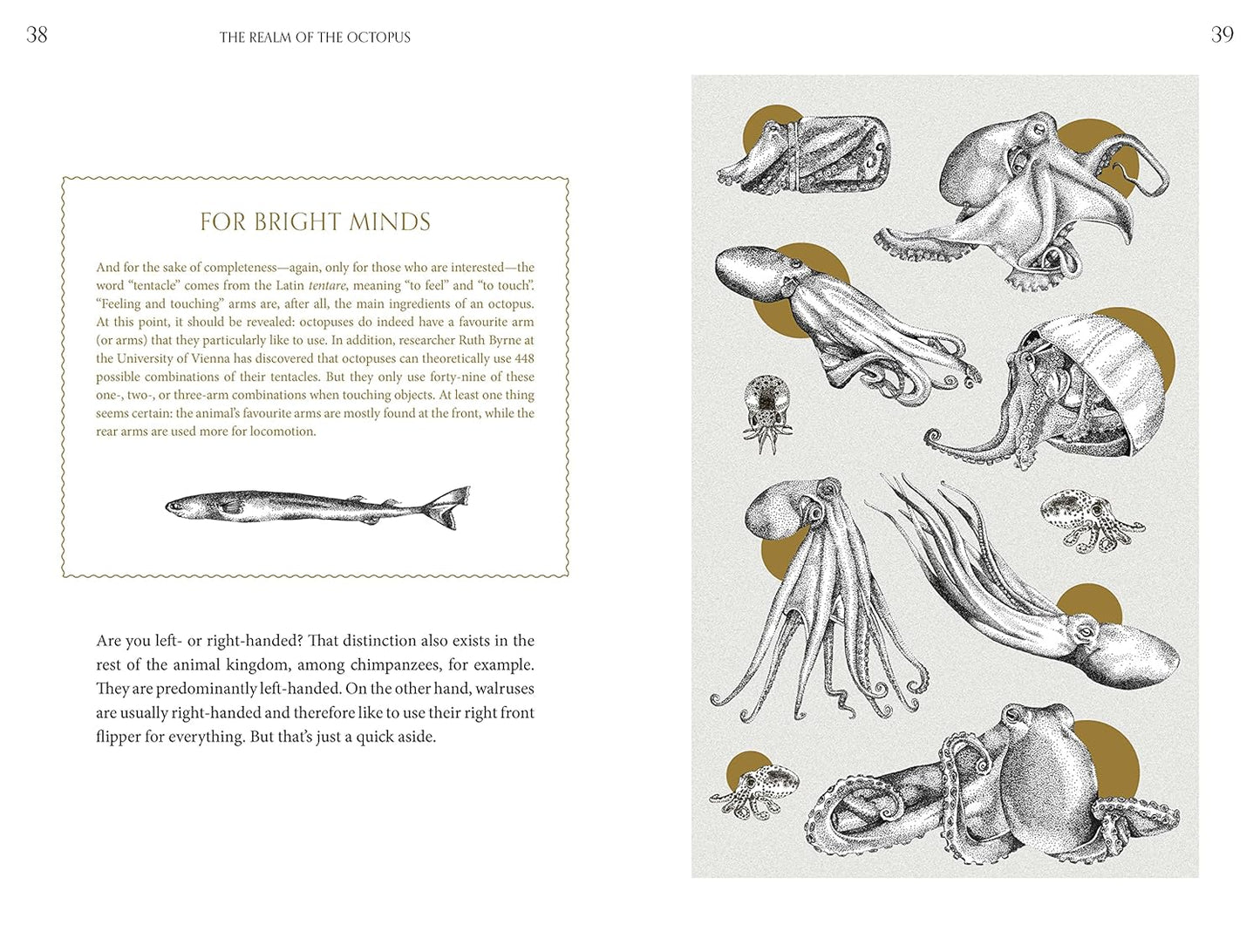 Amazing Octopus: Creature From An Unknown World