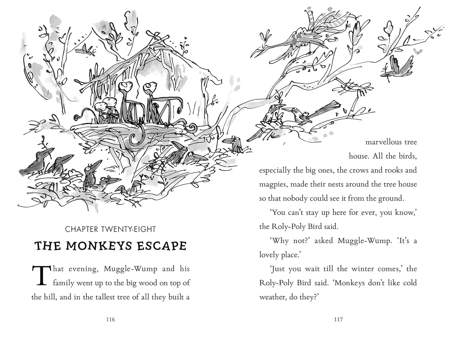 The Twits - Roald Dahl