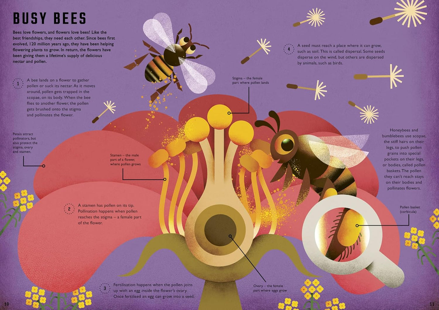 Wild Your World: Bees