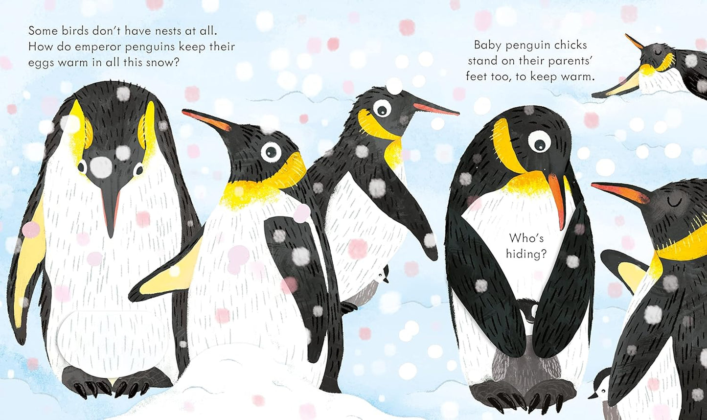 Usborne Peep Inside A Bird's Nest