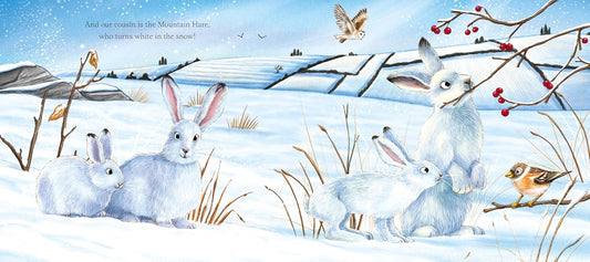 I am Hattie the Hare: A Tale from Our Wild and Wonderful Meadows