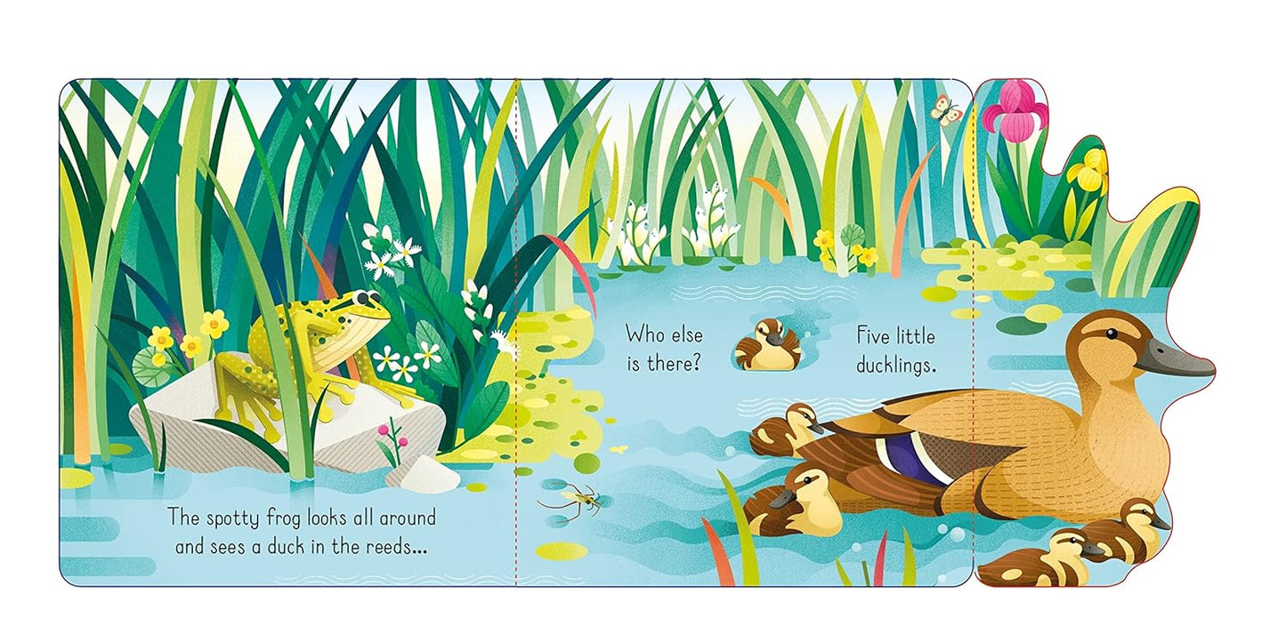 Usborne Little Lift And Look Spotty Frog