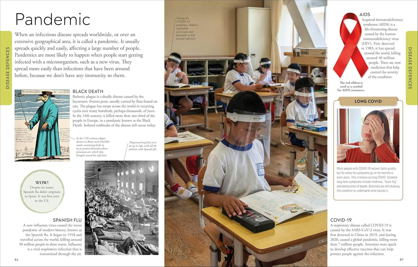 DK Human Body: A Children's Encyclopedia