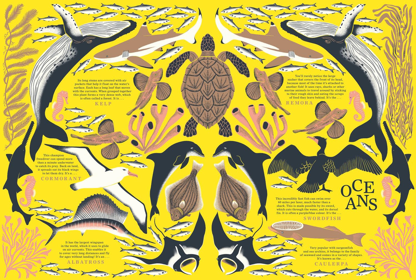 Nature: Discover the World’s Wonderful Habitats