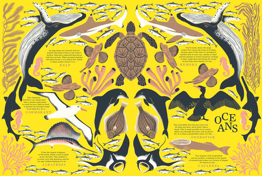 Nature: Discover the World’s Wonderful Habitats