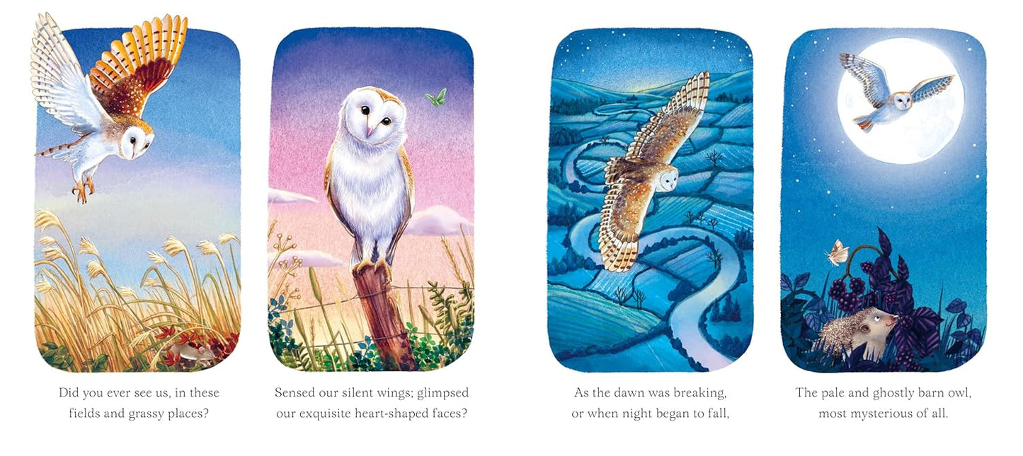 I am Emily the Owl: A Tale From Our Wild and Wonderful Night Skies