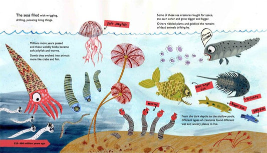 The Story of Life: A First Book About Evolution (Paperback)