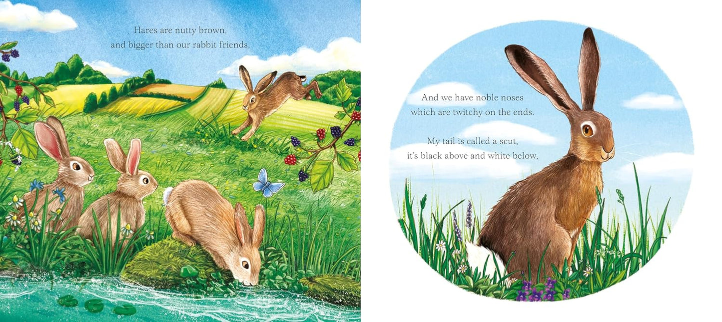 I am Hattie the Hare: A Tale from Our Wild and Wonderful Meadows