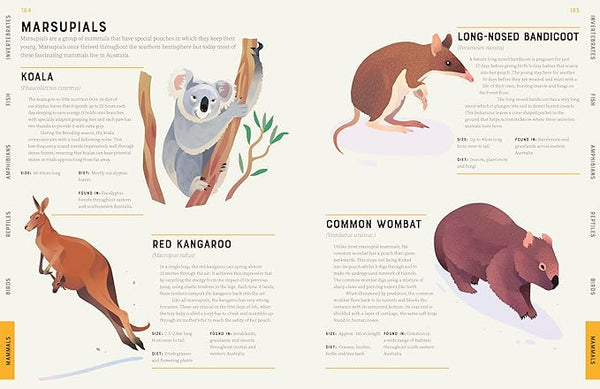 Encyclopedia of Animals: Contains Over 275 species!