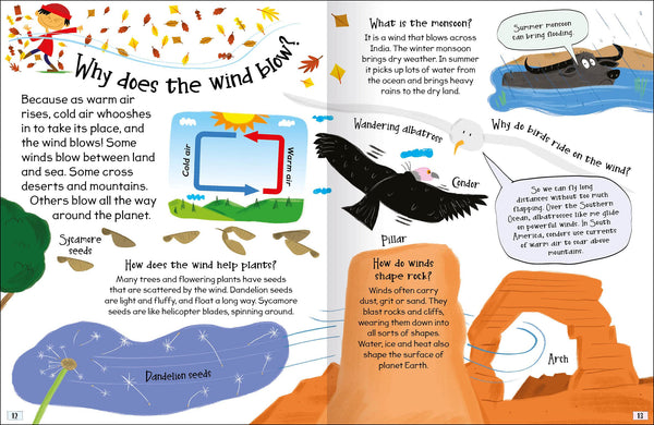 Curious Questions & Answers About Weather