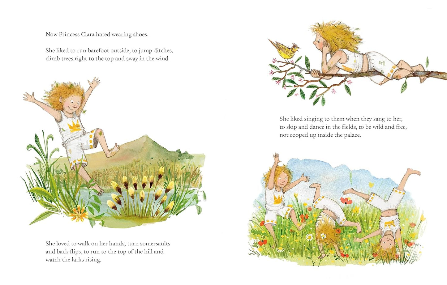 The Ogre Who Wasn't - Michael Morpurgo & Emily Gravett