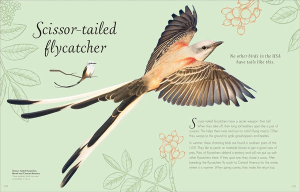 DK An Anthology of Exquisite Birds