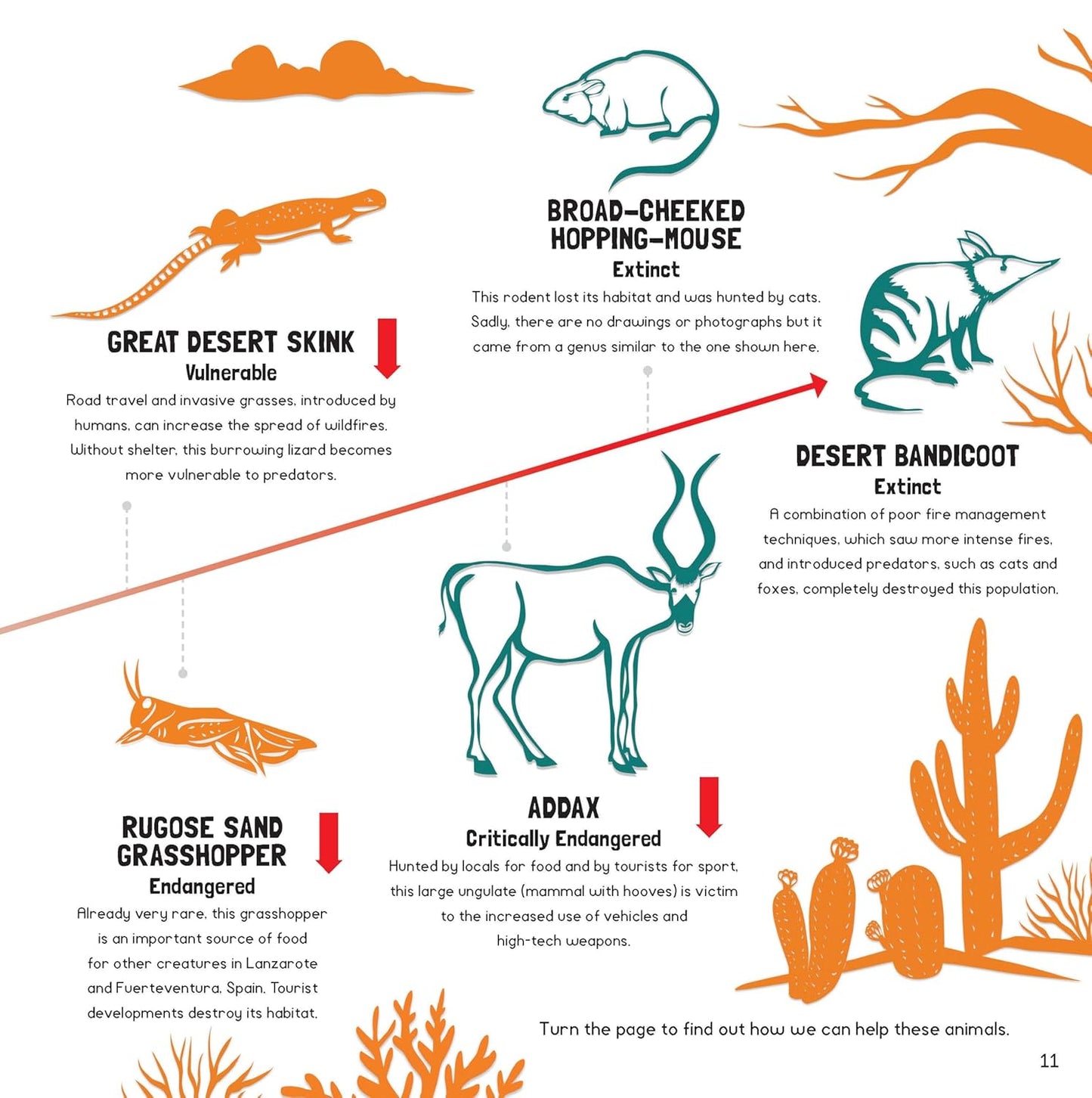 Endangered Animals and How You Can Help (Search and Find)