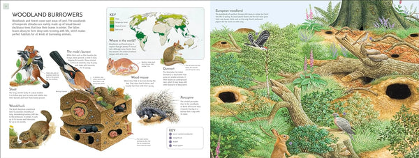 DK Life Underground Tunnel into a World of Wildlife