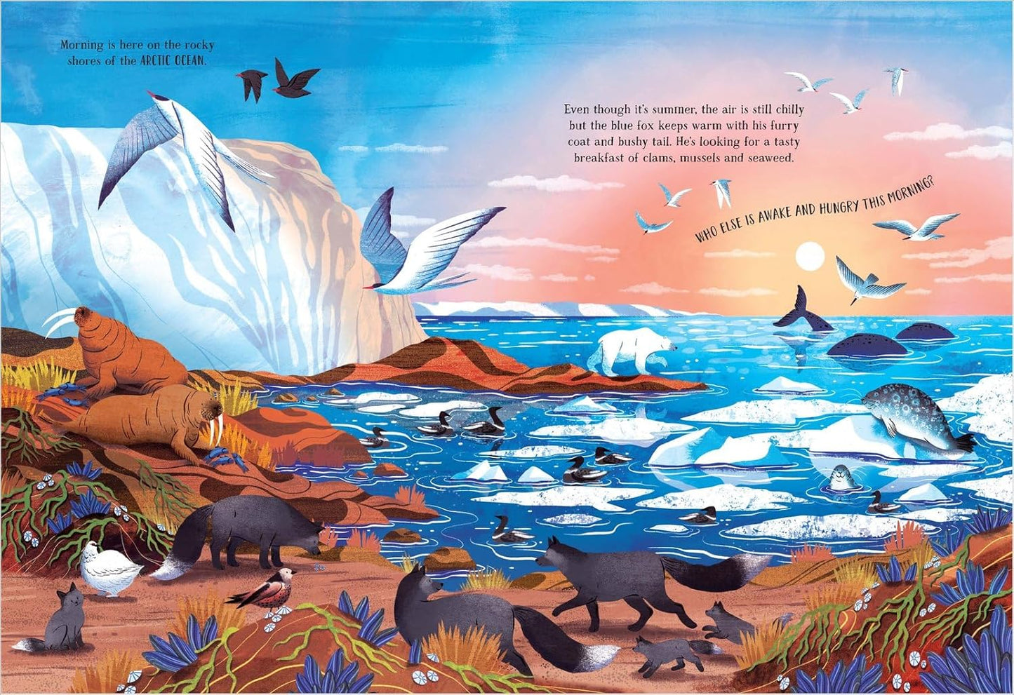 The Secret Ocean: A Spotting Book