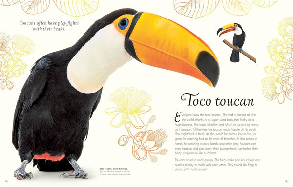 DK An Anthology of Exquisite Birds