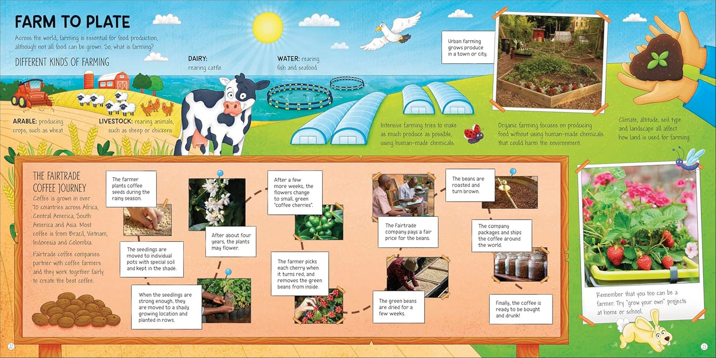 DK Food Around the World