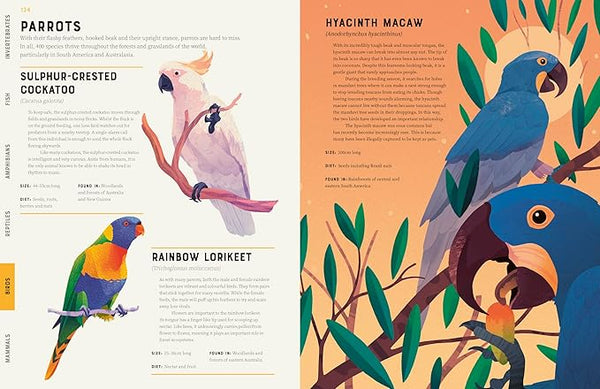 Encyclopedia of Animals: Contains Over 275 species!