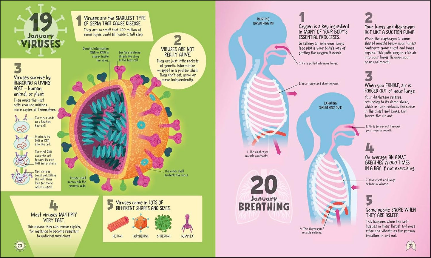 DK 5 Facts a Day Science: A Little Bit of Learning Every Day