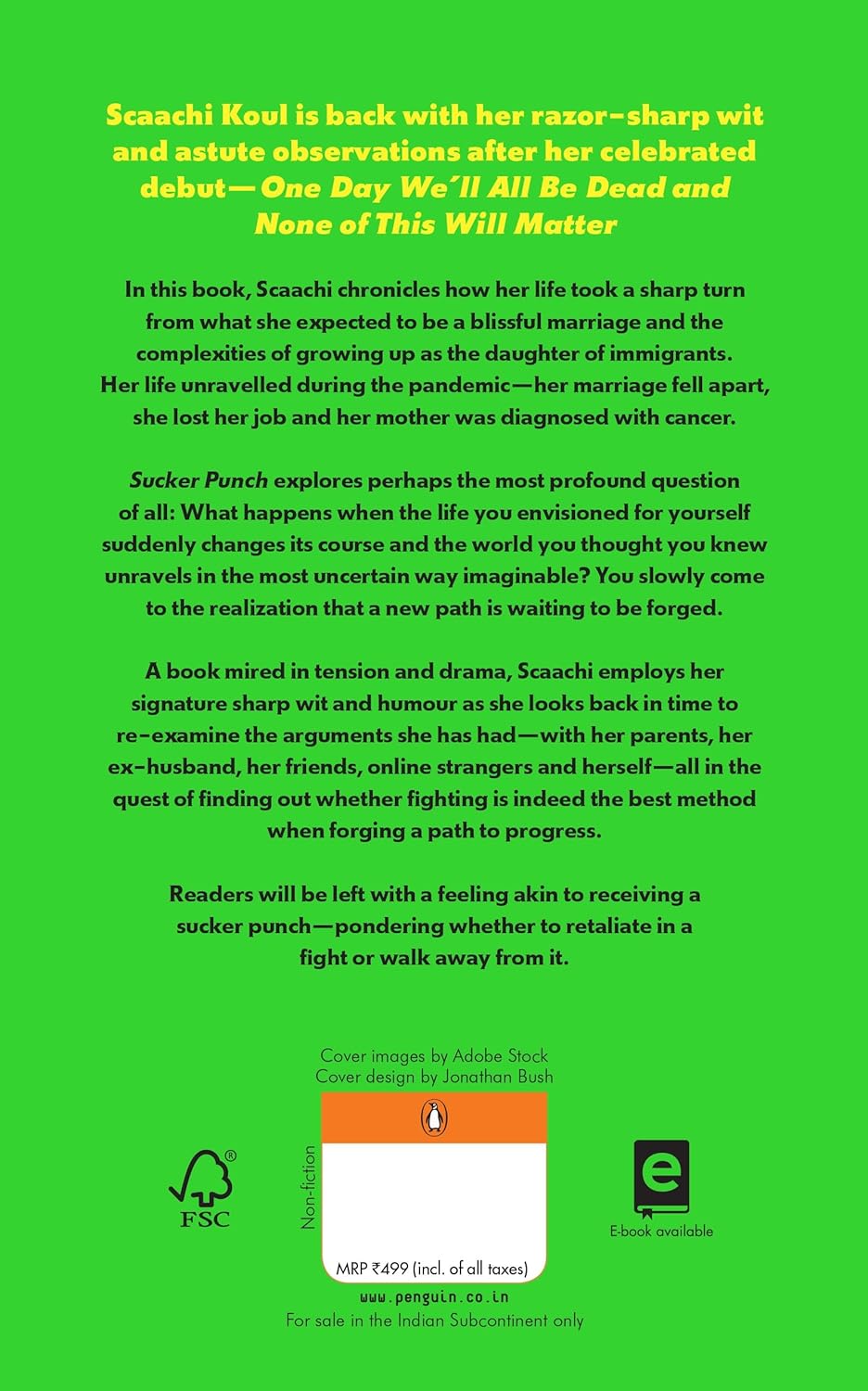 Sucker Punch: Essays