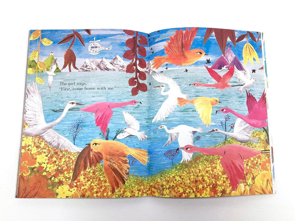 Colours, Colours Everywhere - Julia Donaldson (Paperback)