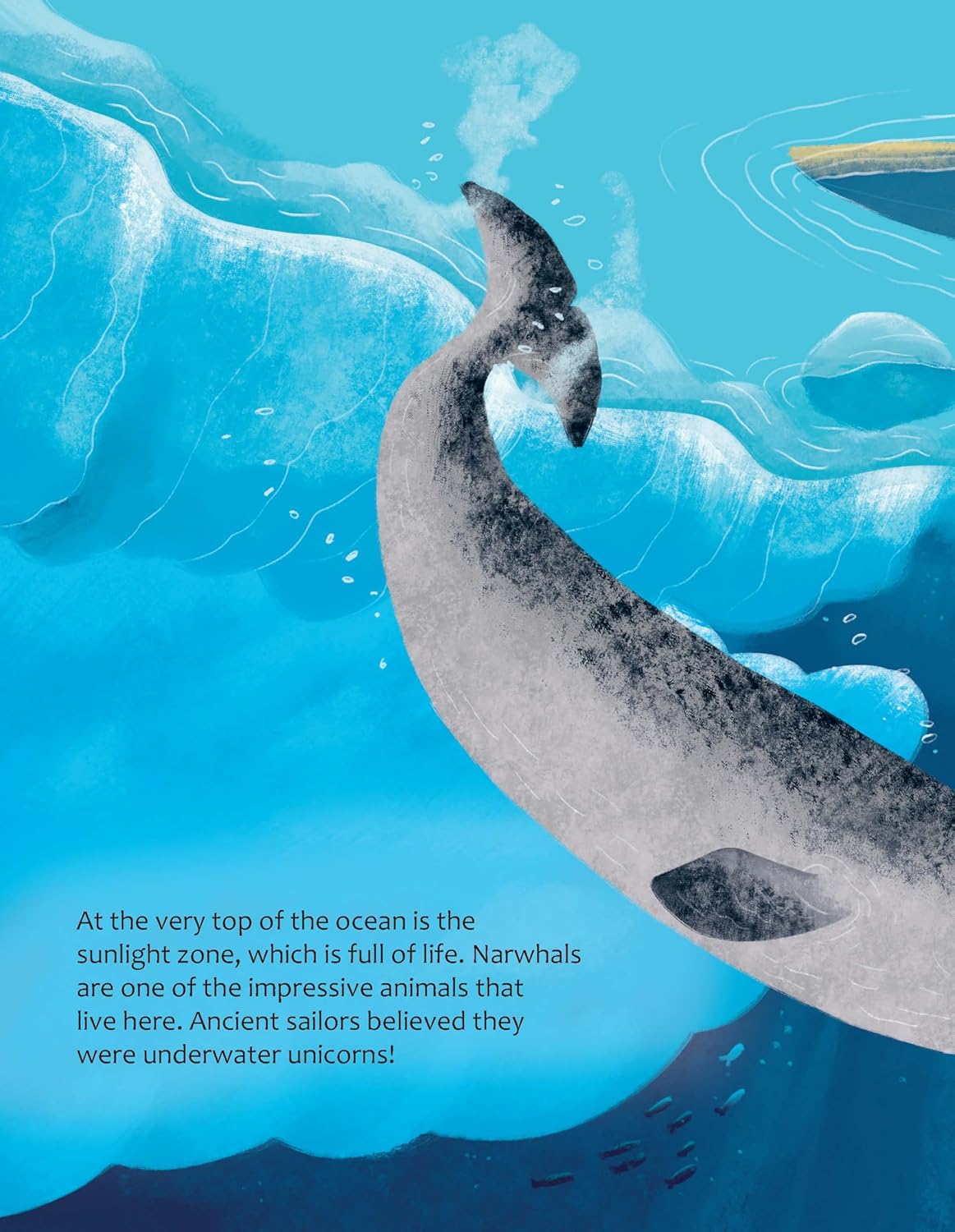 Big Questions Answered: How Do Oceans Help Us Breathe?