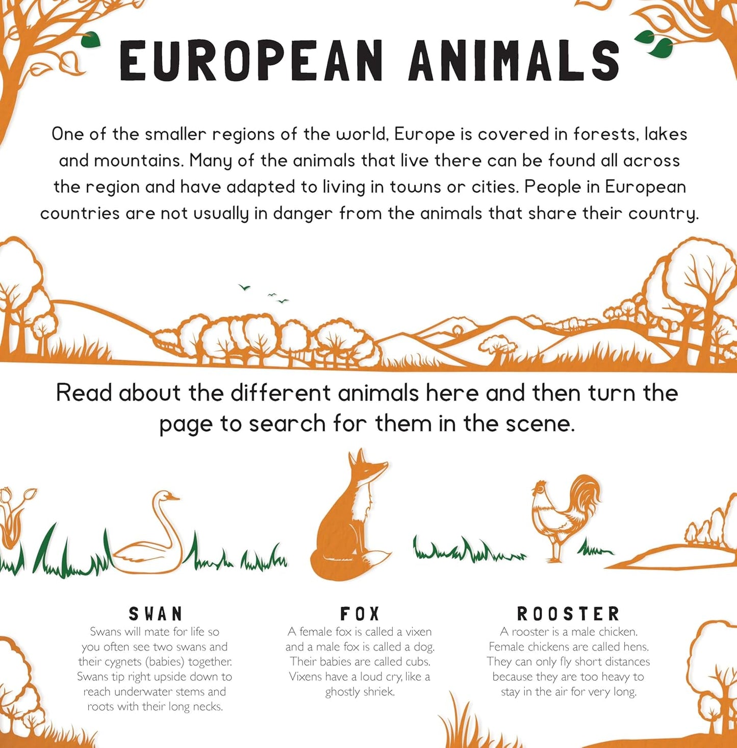 Animal Camouflage (Search and Find)