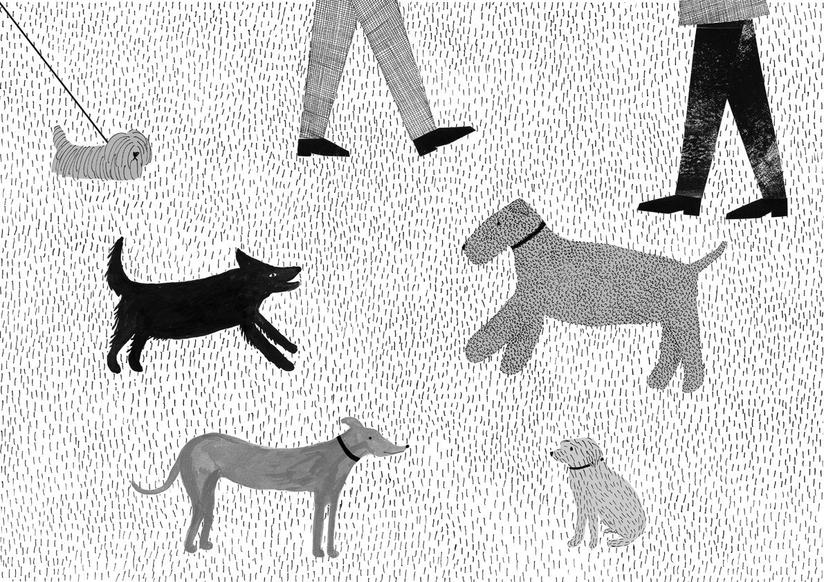 A Dog Day - Emily Rand