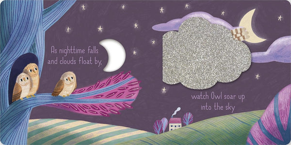 Touch-and-Feel Flaps: Sweet Dreams