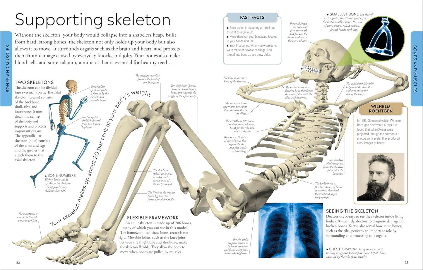 DK Human Body: A Children's Encyclopedia