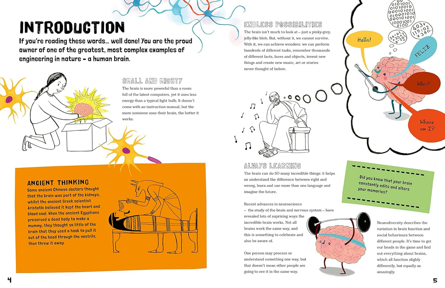 You & Your Amazing Brain: A Book of Brains and How They Work