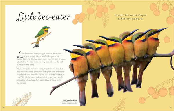 DK An Anthology of Exquisite Birds