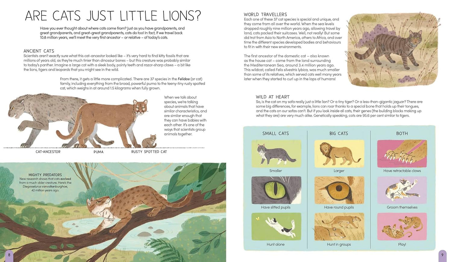 A World of Cats - Carlie Sorosiak