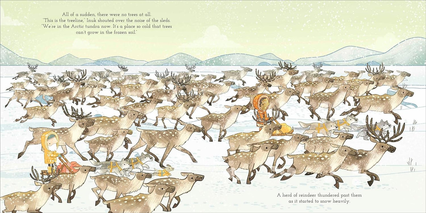 DK Adventures with Finn and Skip: Arctic